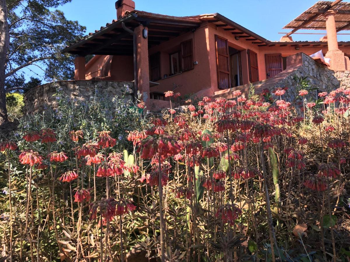 Bed and Breakfast Casa Diana Giannutri Exterior foto