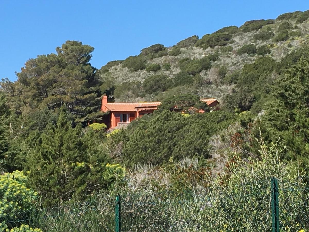 Bed and Breakfast Casa Diana Giannutri Exterior foto