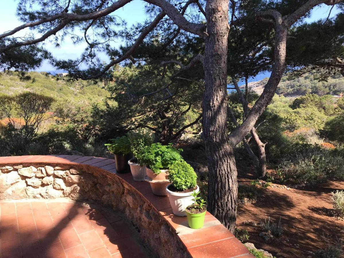 Bed and Breakfast Casa Diana Giannutri Exterior foto